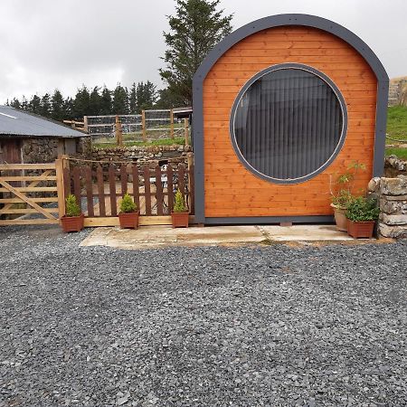 Hotel Penystryd Trawsfynydd Esterno foto