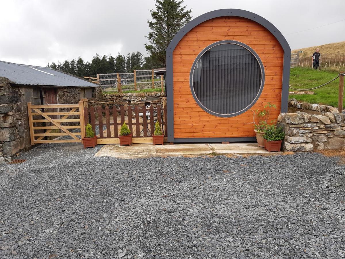 Hotel Penystryd Trawsfynydd Esterno foto